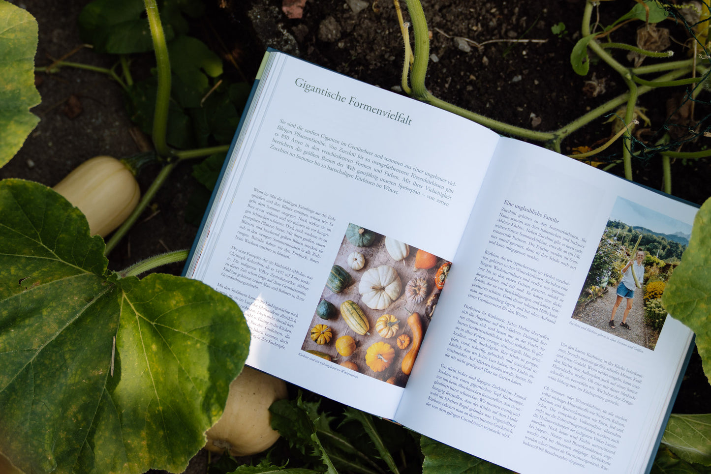 Unser Gemüse-Kochbuch"Liebes Gemüse"